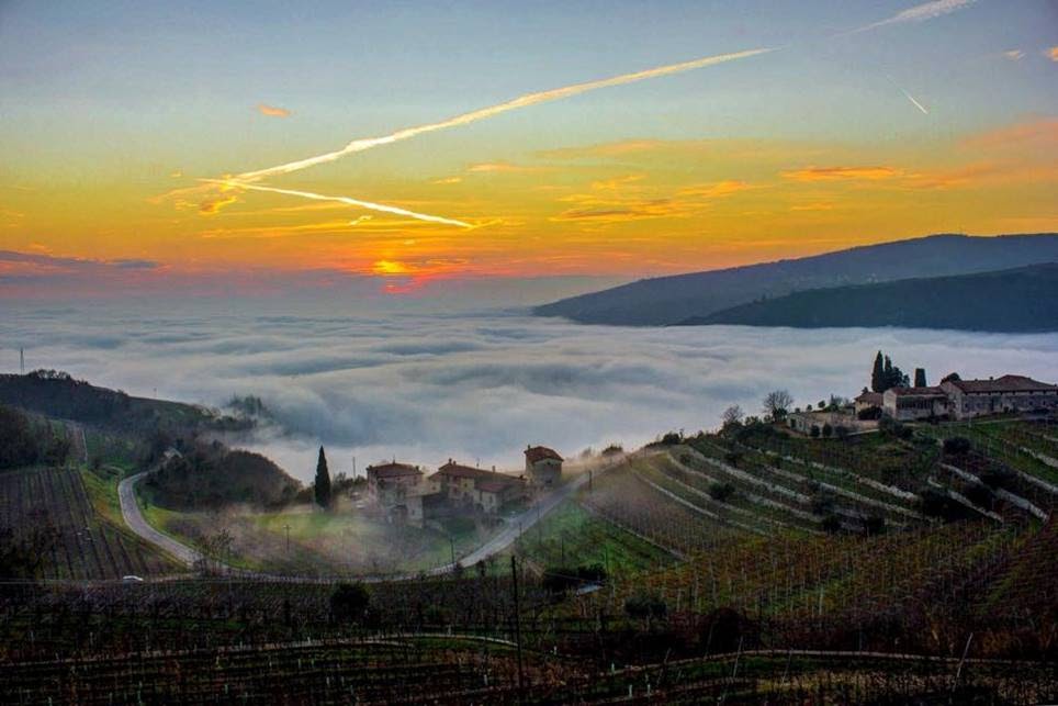 Experience the soul of Italy, one bottle at a time.